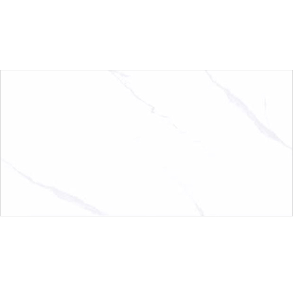 LY48Y01