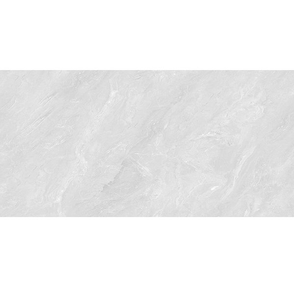 LY48Y02