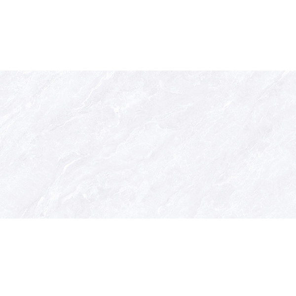 LY48Y05