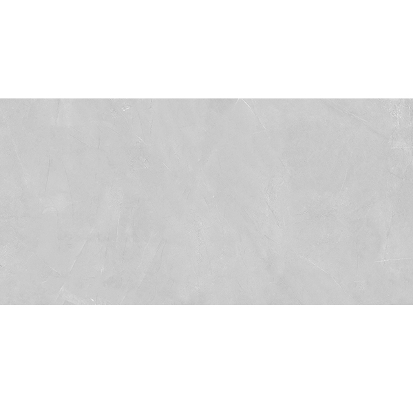 LY48Y06